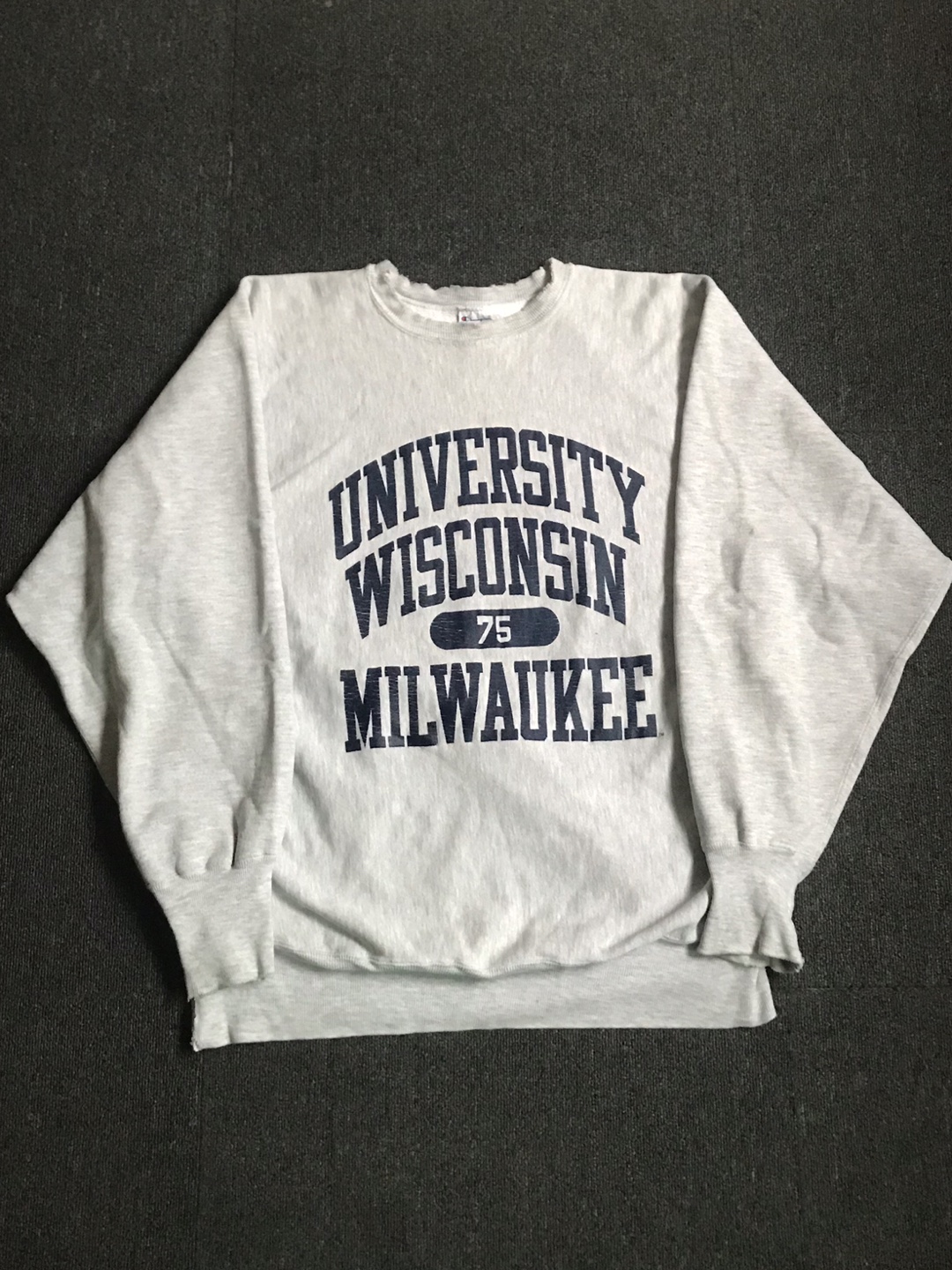 90s champion reverse weave sweatshirt (XL size, ~105 추천)